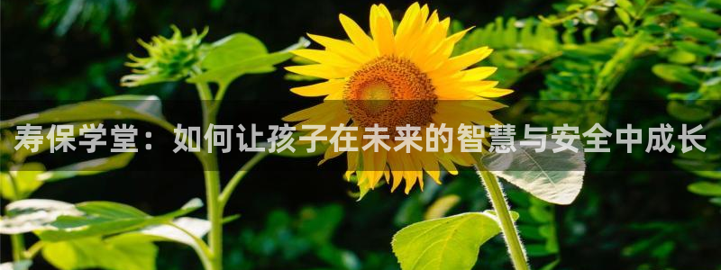 鸿运卡盟平台登录