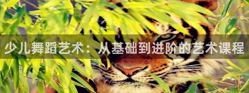 怎么进鸿运彩票平台
