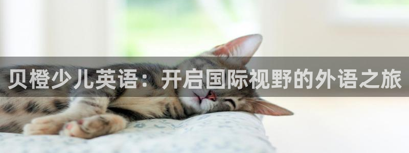 鸿运最新平台