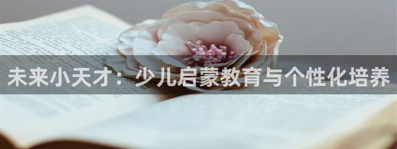 鸿运彩票平台的网址