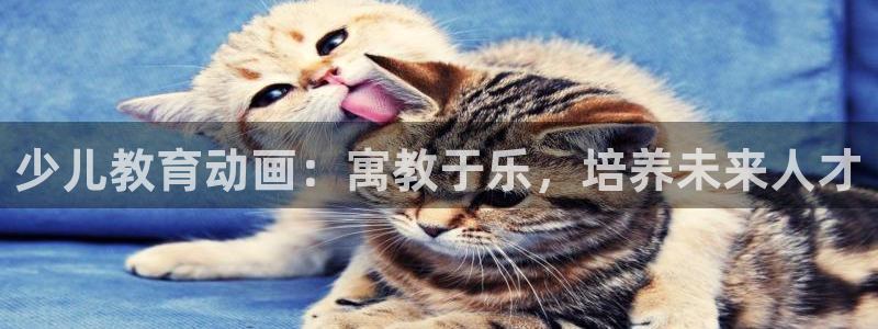琥珀鸿运是什么平台