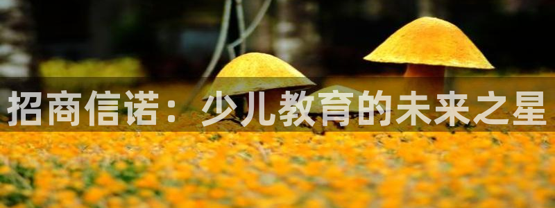东方鸿运购物平台