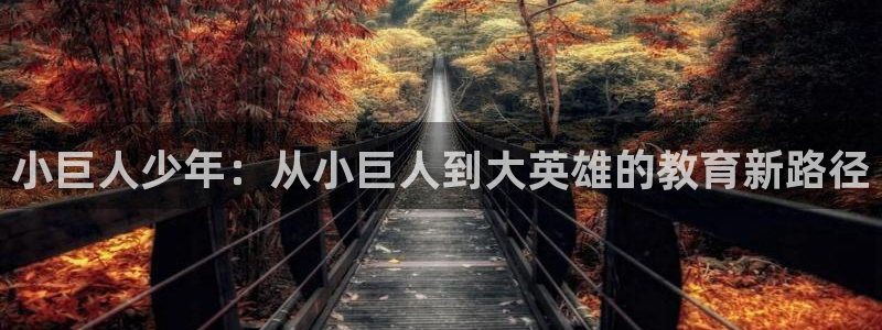 鸿运达交易拍卖平台