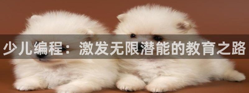 鸿运国际app平台