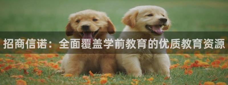 鸿运通平台可靠吗