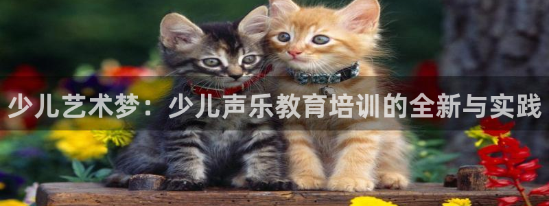 鸿运是什么平台