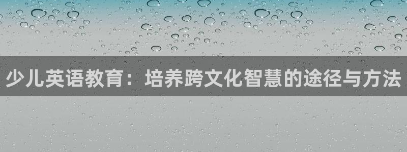 鸿运服务平台官网